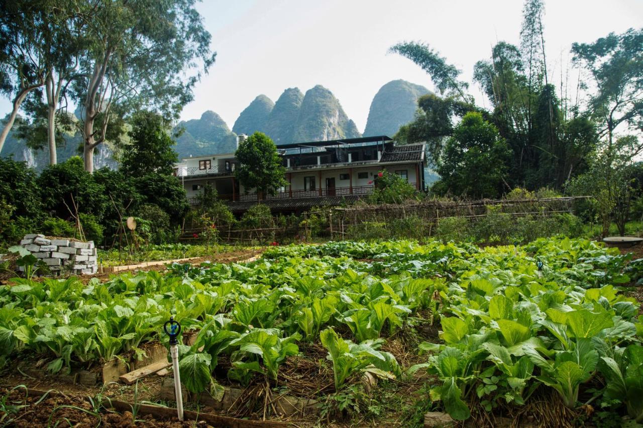 Nirvana Organic Farm Inn Yangshuo Exterior photo
